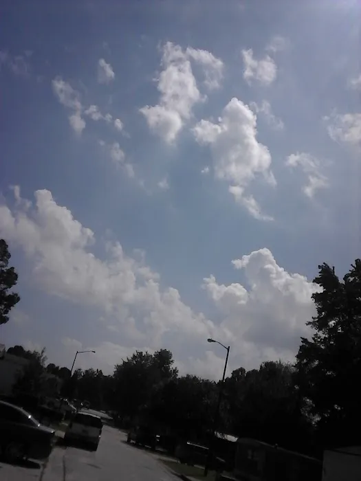 Gwinnett Estates Picture 2