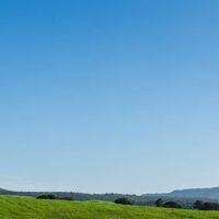 Magnolia Ridge MHP ico