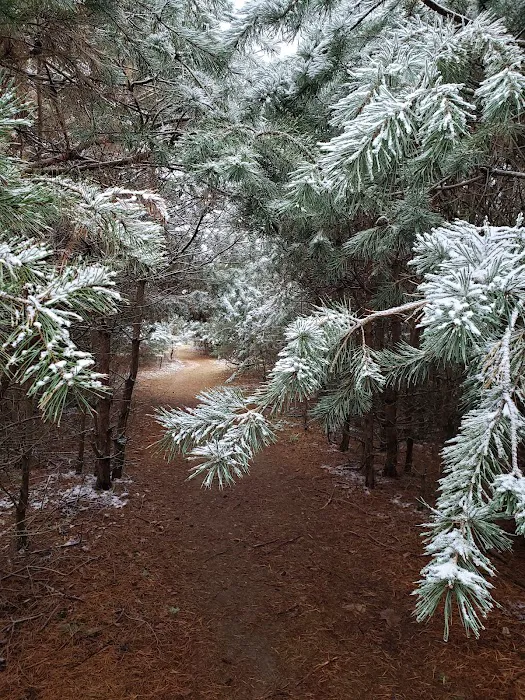 Evergreen Campgrounds Picture 9
