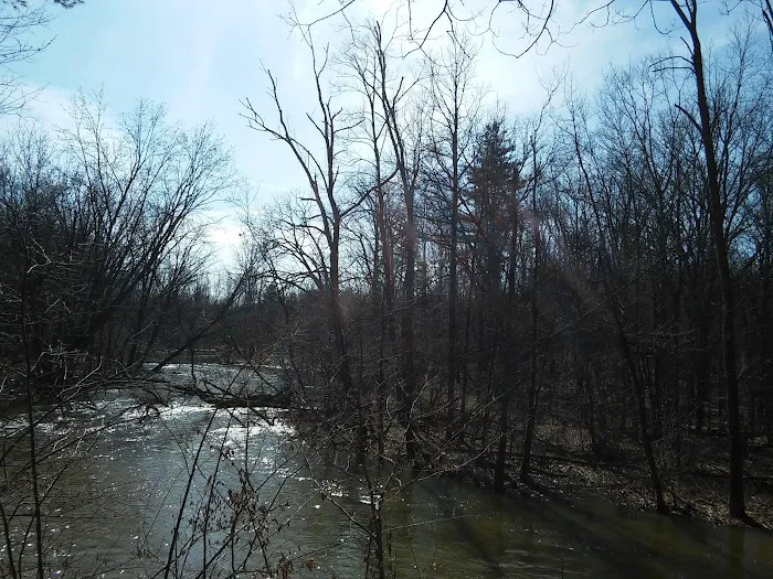 Oxbow Campground Picture 2
