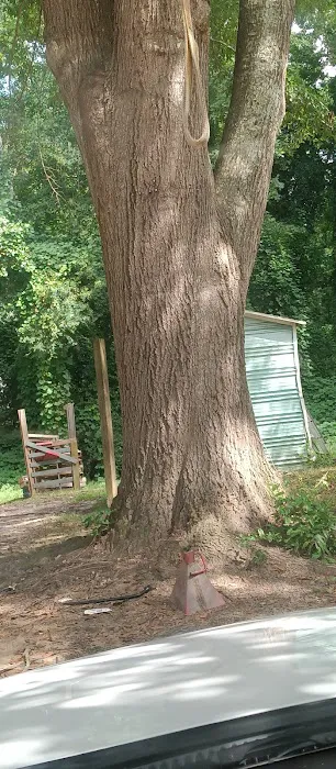 Southside Mobile Home Park Picture 6