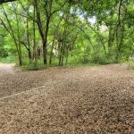 Camp Elvin