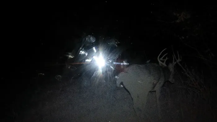 TTCM Bellevue Campground Picture 7