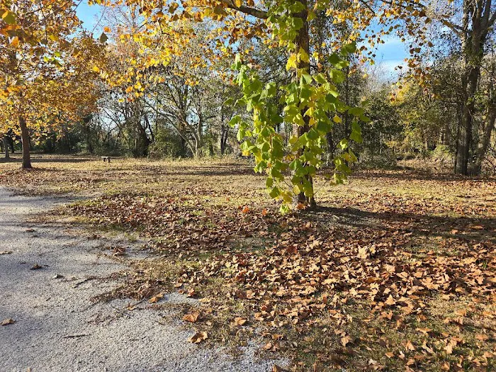 Contentnea Creekside RV Park Picture 9