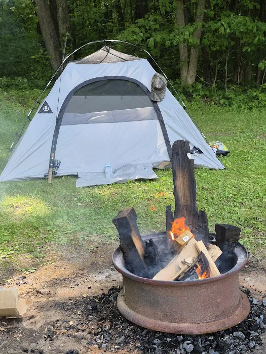 Sherwood Forest Campground Picture 4