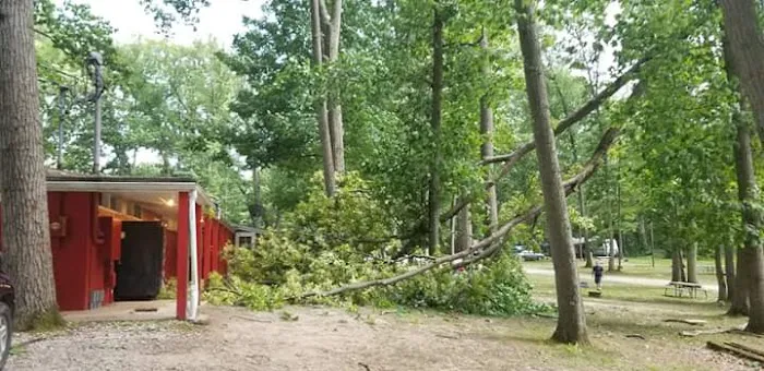 Sherwood Forest Campground Picture 3