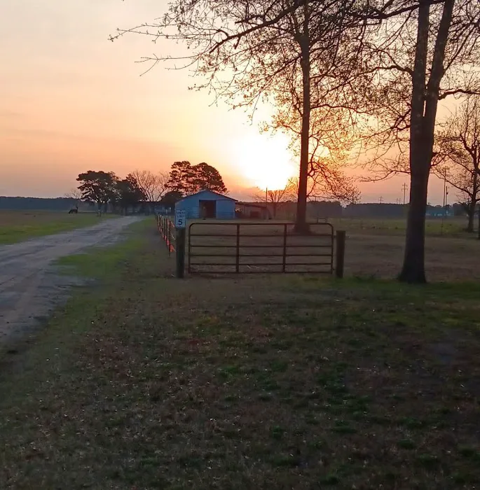 By the Creek Campground and RV Park Picture 10