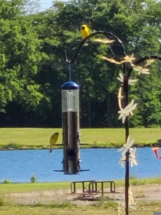 Golden Rule Campground Picture 4