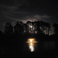 Whispering Oaks RV Resort ico