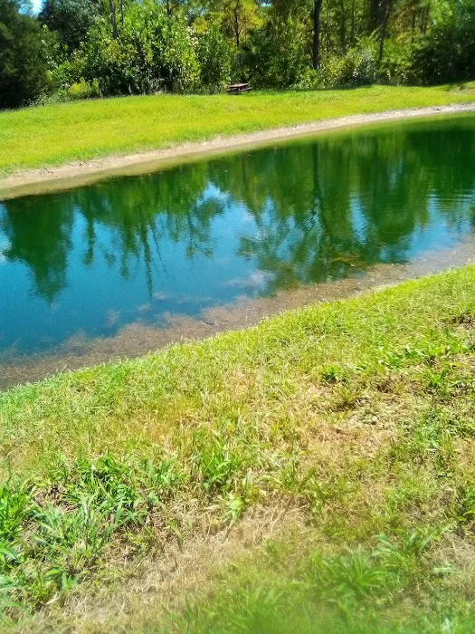 Archway Campground Picture 8