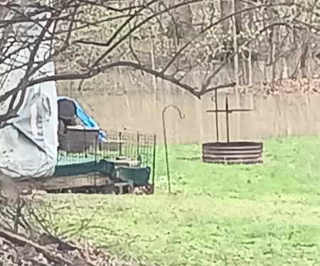 Oakdale Campground