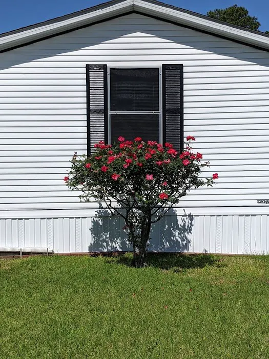 Winterville Mobile Home Community Picture 1