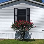 Winterville Mobile Home Community