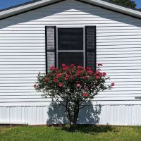 Winterville Mobile Home Community ico