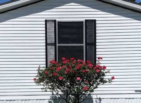 Winterville Mobile Home Community