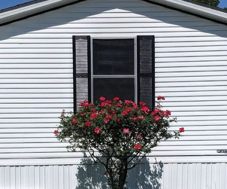 Winterville Mobile Home Community