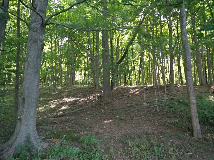 Kiser Lake Campground & Marina Picture 10