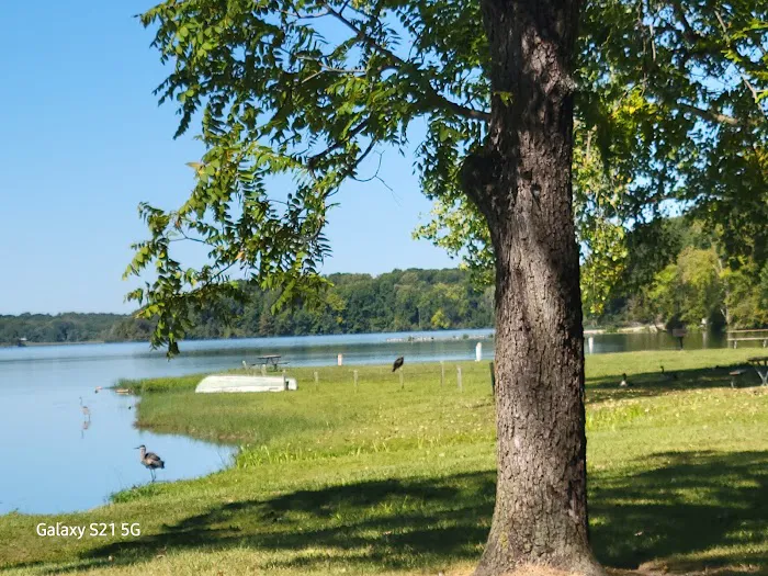 Kiser Lake Campgrounds Picture 4
