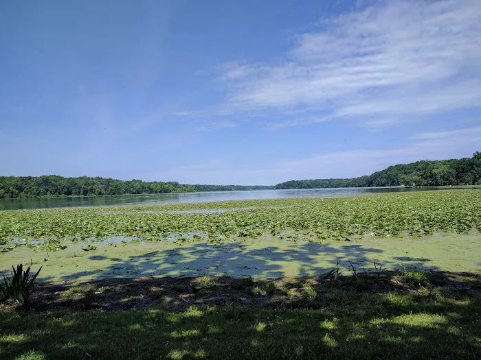 Kiser Lake Campgrounds Picture 9