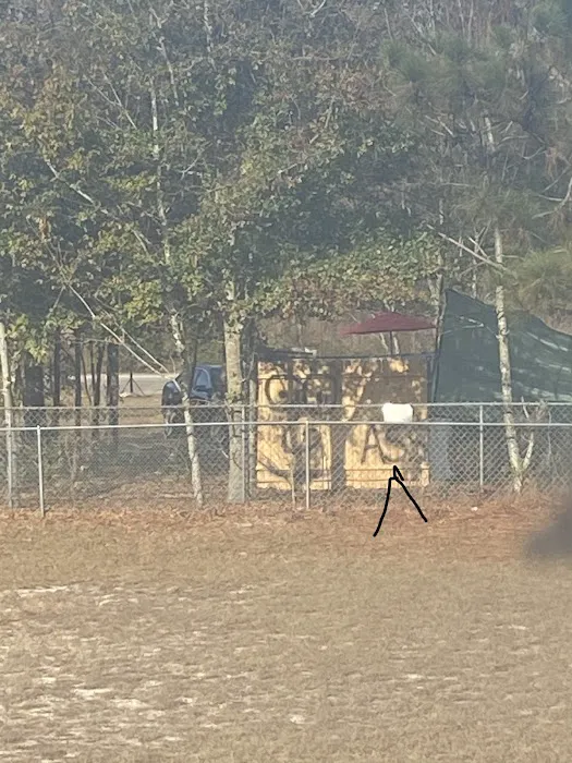 Plantation Acres Mobile Homes Picture 3