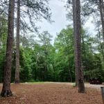 Collins Creek Seasonal Camp