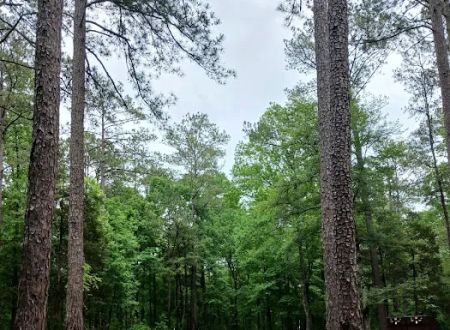 Collins Creek Seasonal Camp