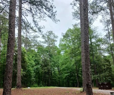 Collins Creek Seasonal Camp