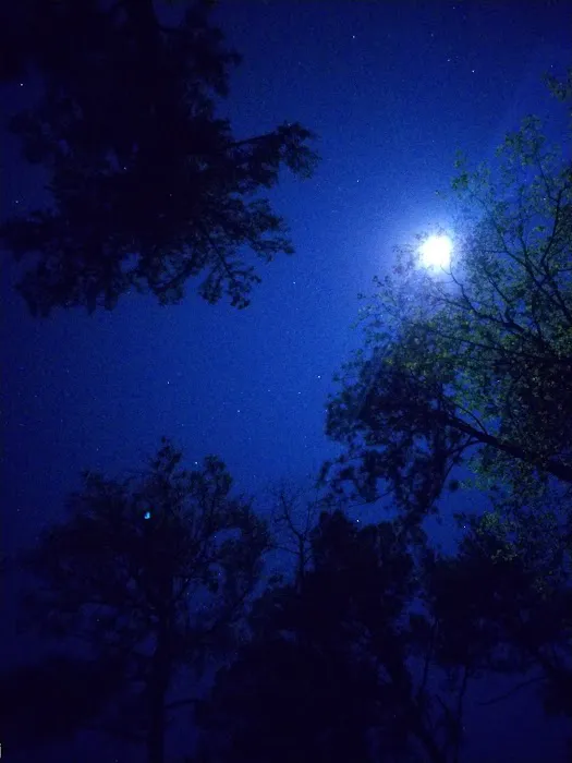 Collins Creek Seasonal Camp Picture 3