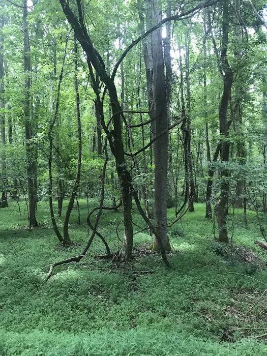 Rocky Branch Seasonal Camp Picture 8