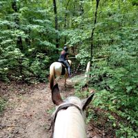 Buncombe Trailhead Parking ico