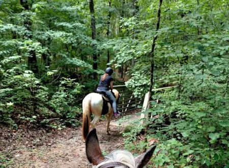 Buncombe Trailhead Parking