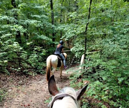 Buncombe Trailhead Parking