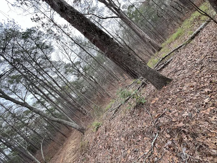 Buncombe Trailhead Parking Picture 9