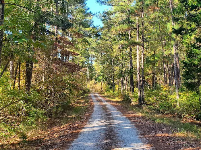 Brick House Campground Picture 3