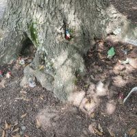 Newberry / I-26 / Sumter NF KOA Journey ico