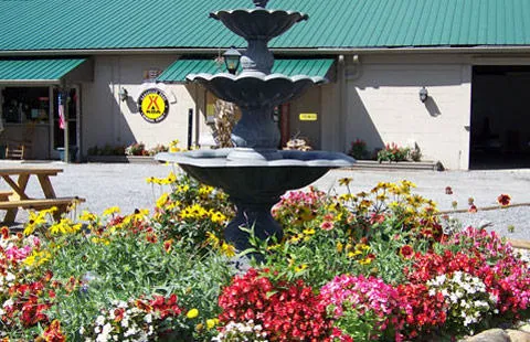 Asheville East KOA Holiday Picture 7