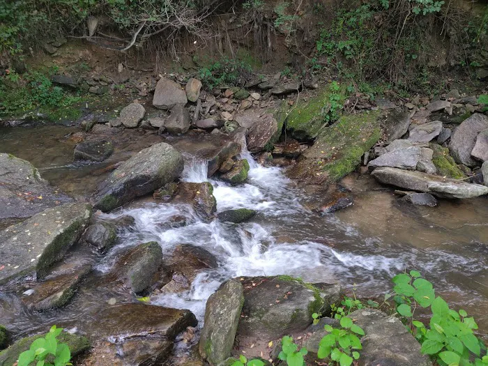 Creekside Mountain Camping Picture 5