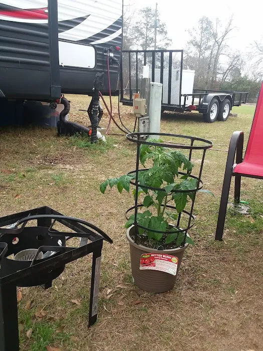 Peach Orchard RV Park & Campground Picture 10