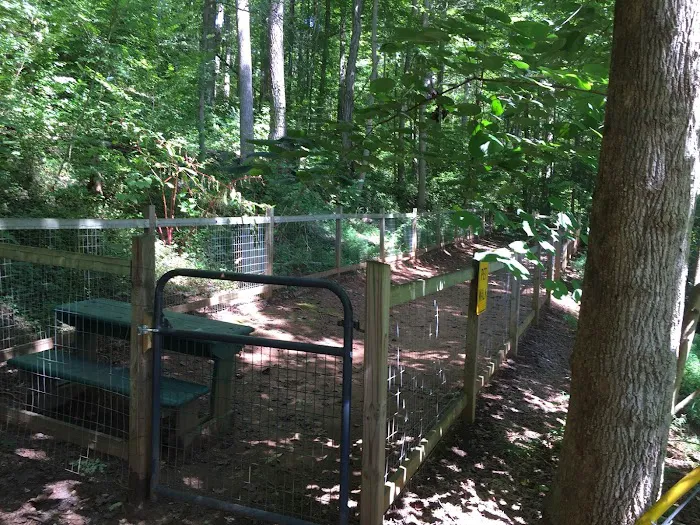 Travelers Rest / N Greenville KOA Holiday Picture 8
