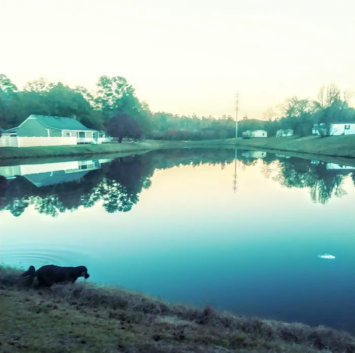 Butler Creek Mobile Home Community Picture 6