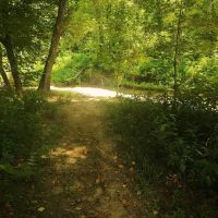 Riverside Campground ico