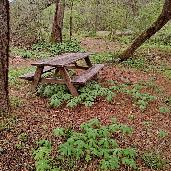 Riverside Campground Picture 7
