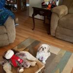 Grindstone Estates Mobile Home Community
