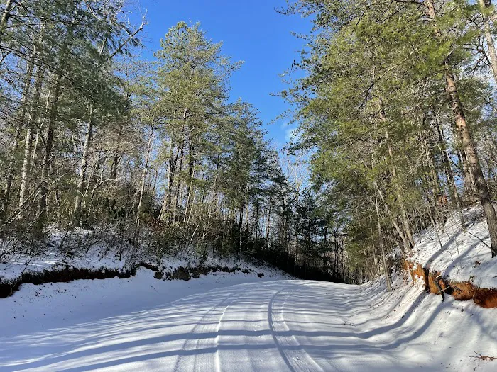 Camp Awanita Picture 9