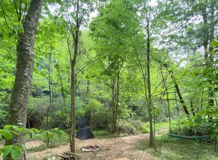 Cold Spring Basecamp