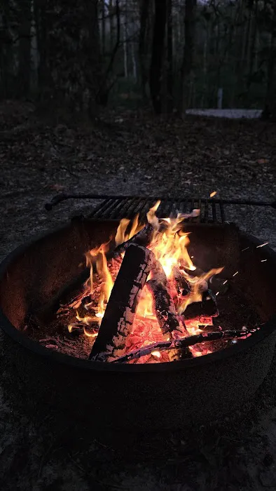 Table Rock State Park - White Oaks Campground Picture 2