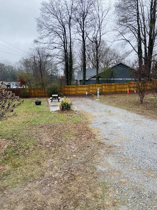 Town Mountain Travel Park Picture 4