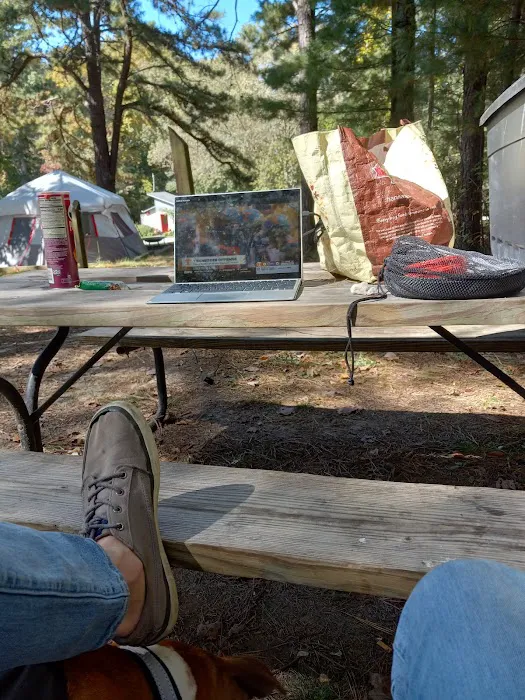 Red Gates RV Park Picture 4