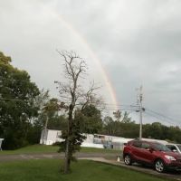 Country Oaks Estates ico