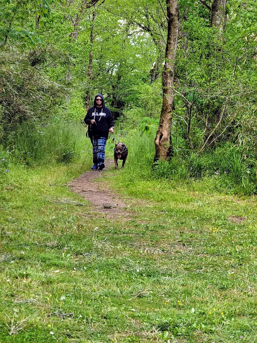 Campground at David Crockett Birthplace State Park Picture 5
